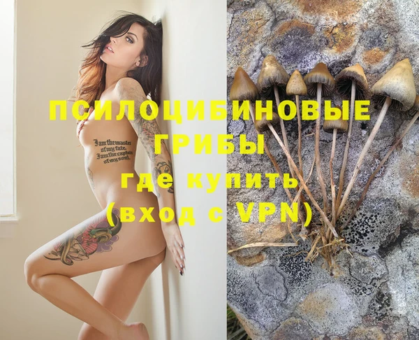 гашик Балахна