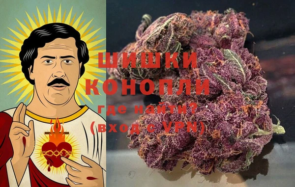 сатива Арсеньев