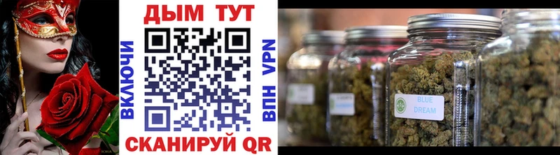 закладка  shop Telegram  Шишки марихуана план  Кировск 
