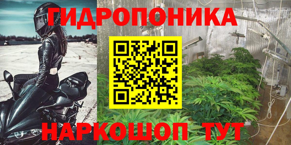Шишки марихуана конопля Кировск